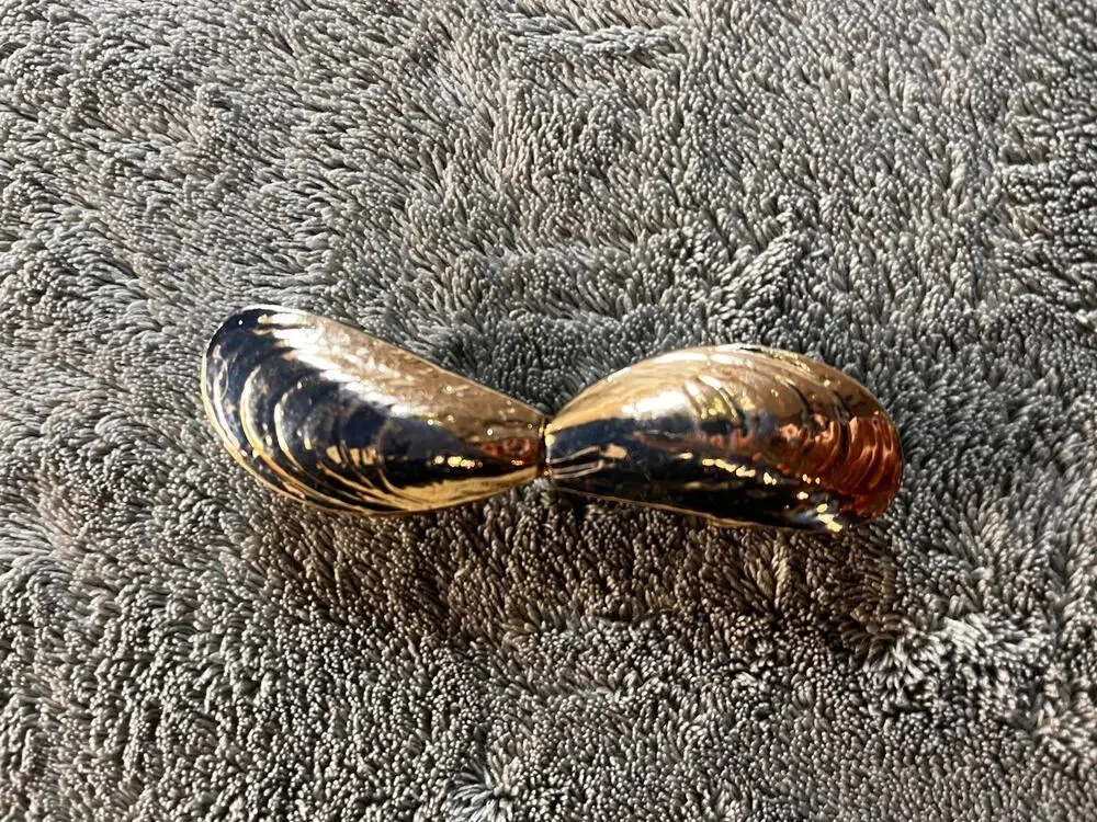 Vintage Gold Tone Double Clam Mussel Shell Belt Buckle 2-Piece Interlocking